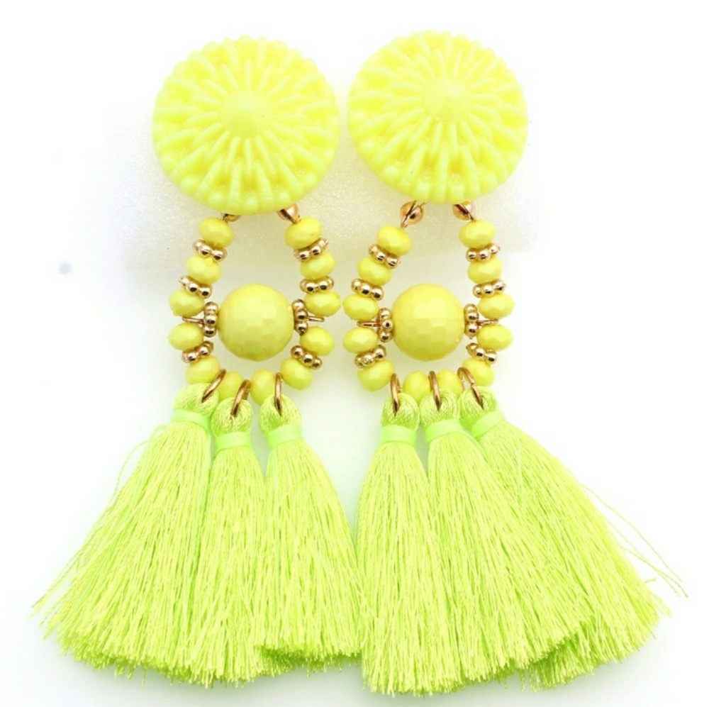 💥BOGO FREE!💥 Boho Resin Tassle earrings